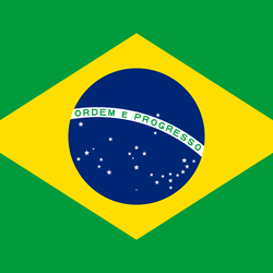 LIVEGOOD Brazil flag