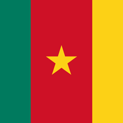 LIVEGOOD Cameroon flag